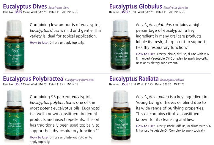 Eucalyptus_Radiata_Dives_Globulus_Polybractea_bottles Eucalyptus bottles